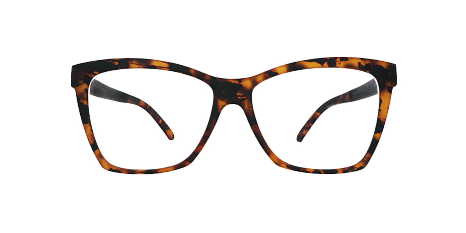 Vanguard Visionary - Image 3